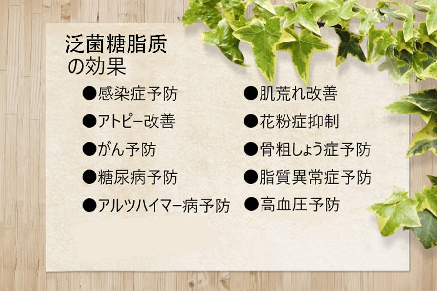 泛菌糖脂质是什么？