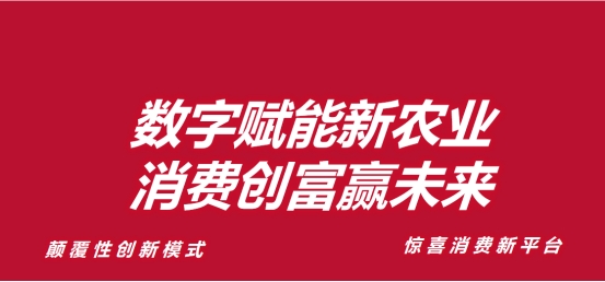 利亚甄选 助农惠民大型电商团购平台